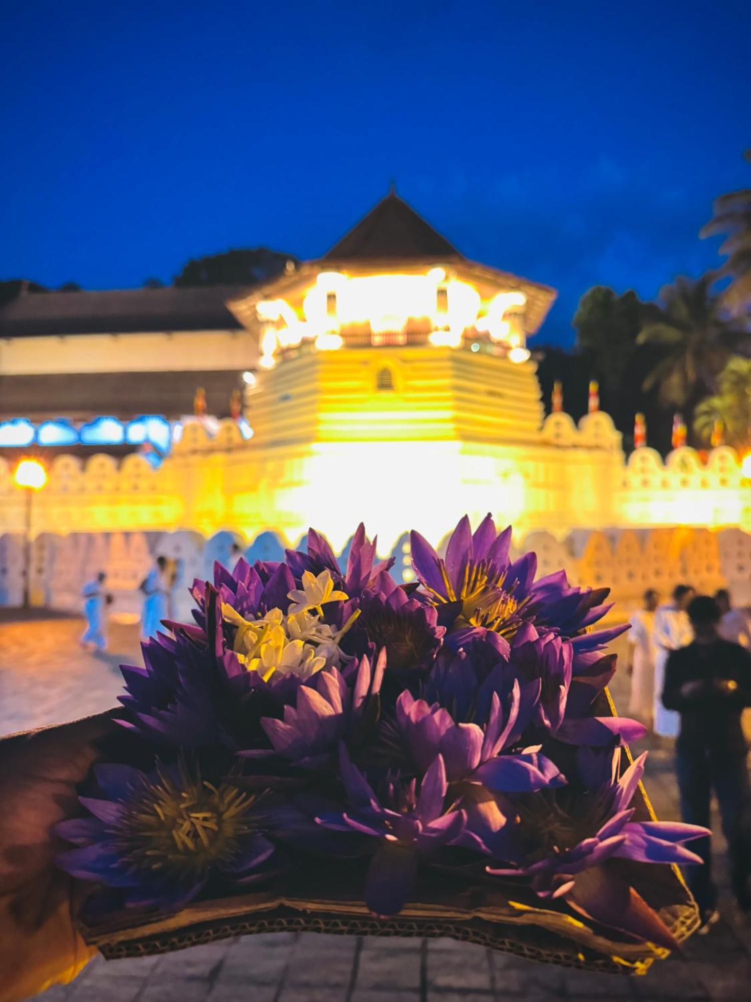 Mahaweli View Bungalow Kandy Eksteriør bilde